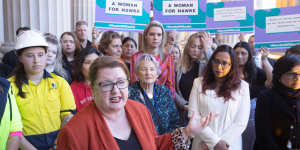 Natalie Hutchins on the steps of the Parliament last year,pushing for the Labor candidacy for the federal seat of Hawke to be given to a woman.