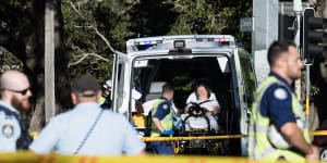 Fire crews rescue woman,cat from blaze in Sydney's inner west