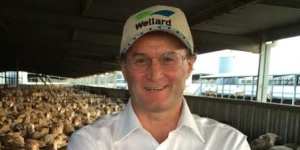 Wellard CEO Mauro Balzarini at the company feedlot in Baldivis,Western Australia.
