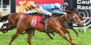 Caulfield Cup winner Durston will not compete in the Melbourne Cup after failing a CT scan.