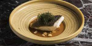 Murray cod with native curry and saltbush. 