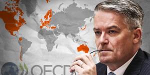 Mathias Cormann is flying around the world campaigning to be appointed secretary-general of the OECD. 