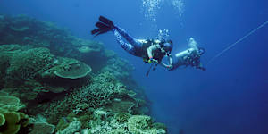 Great Barrier Reef should be added to heritage ‘danger’ list:UN report