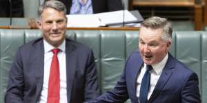 Minister for Climate Change and Energy Chris Bowen has made a bid for Australia to host the COP31 conference in 2026. 