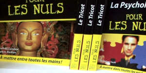 The For Dummies brand covers 2000 topics and the books have been translated into 30 languages. 