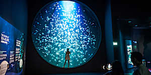 Singapore Oceanarium 