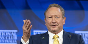 Chairman and founder of Fortescue,Andrew Forrest.