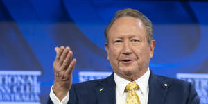 Fortescue founder and chairman Andrew Forrest.