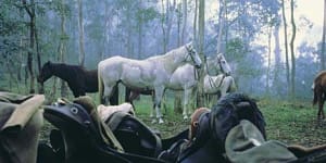 Steady,boys ... there's no finer way to see the high country than from the back of a horse.