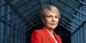 Government will intervene if voluntary codes don’t fix recycling debacle:Plibersek