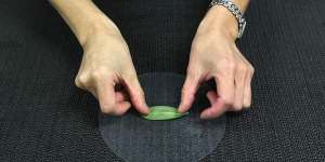 2. Place a mint leaf in the centre of rice paper. 