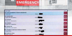 A leaked patient list from Westmead Hospital Emergency Department