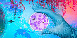 The malaria parasite has unveiled new insights into male fertility.