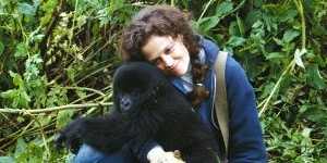 As Dian Fossey in<i>Gorillas in the Mist</i>.