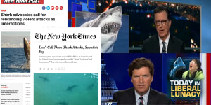 Shark bite debate stirs up US media