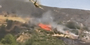 Plane fighting Greek island wildfire crashes,killing both pilots;Italian blaze turns deadly
