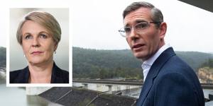 NSW Premier Dominic Perrottet’s promise to raise the Warragamba Dam wall will be decided by federal Environment Minister Tanya Plibersek.