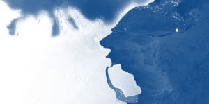 Sydney-sized iceberg breaks off Antarctica