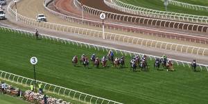 Anthony Van Dyck (at the back of the field) pulls out at the top of the straight in the Melbourne Cup.