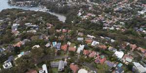 An aerial shot of the planned streets of Castlecrag.