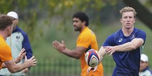 Harry Potter at Wallabies training on the Spring Tour.