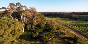 Rare chance for wine lovers to taste obscure Margaret River wines