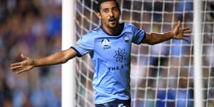 True blue:Reza Ghoochannejhad scores his first goal for Sydney FC.