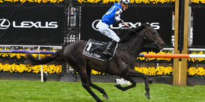 Mark Zahra rides Gold Trip to victory at the 2022 Melbourne Cup. 