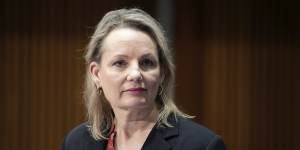 Sussan Ley vows to stare down challenge from conservative Liberals