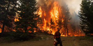 Bushfires raged in Canada