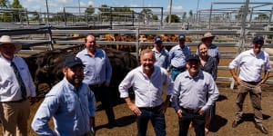 Albanese pitches to farmers as Labor courts Queensland seats