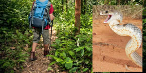 Hikers urged to talk the talk while walking the walk to ward off snakes