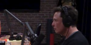 Elon Musk appeared on comedian Joe Rogan's podcast earlier this month. 