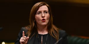 Tania Mihailuk sacked from Labor shadow cabinet after late-night political attack
