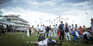 The stylish,sunburnt and sozzled punters of the Melbourne Cup