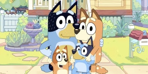The family of cattle dogs from the ABC’s Bluey.