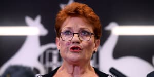 'You came here baying for my blood':Hanson's denial and defiance on guns scandal