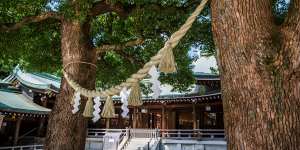 Couples visit the trees,bound with shimenawa rope,for good luck.