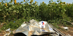 A piece of plane debris at one of the sites where the front section MH17 crashed in Ukraine.