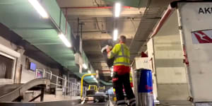 A still image from footage showing baggage handlers slamming Qantas travellers’ bags onto a conveyor belt.