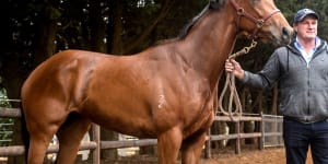 Darren Weir opens up property for bushfire-affected horses