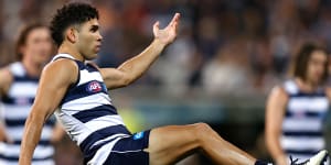 ‘Incredible resilience:’ Why Stengle is the Cats’ finals wildcard