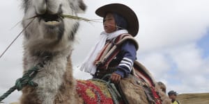 Ecuadorian children race llamas to save national park