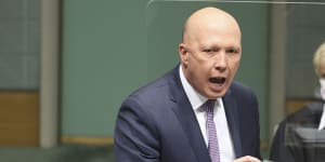 Defamed:Peter Dutton in Parliament on Tuesday.
