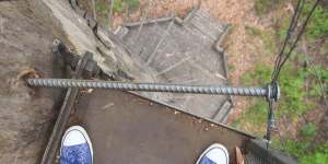 Dave Evans Bicentennial Tree:Climbing Australia’s scariest tourist attraction