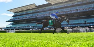 ATC sets aside $12m for replacement of cladding on Randwick grandstand