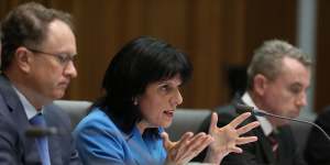 Banks won plaudits for her questioning of ANZ CEO Shayne Elliott at a standing committee in 2016.