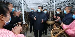  Xi talks with villagers at a black fungus greenhouse in Shangluo City,during an inspection tour of the northwest Shaanxi Province in April 2020. 
