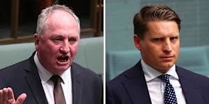 Coalition MPs Barnaby Joyce and Andrew Hastie voted against the amendment,saying it could include “late-term abortions”.