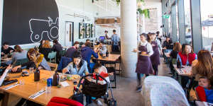 Left of Field cafe is sleekly minimal with indoor ferns.